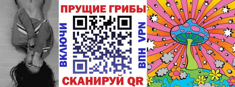 Купить где  Макарьев  Галлюциногенные грибы GOLDEN TEACHER 